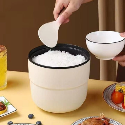 Multi-Functional Electric Mini Cooking Pot